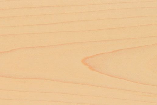 shoe-horn（靴べら）