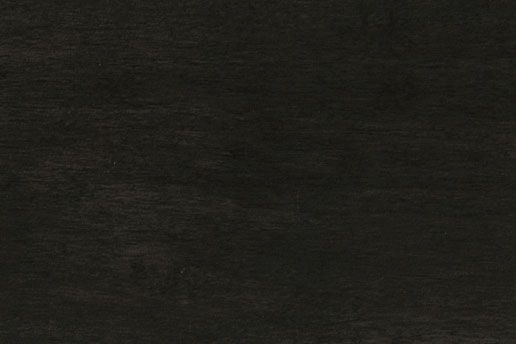 shoe-horn（靴べら）